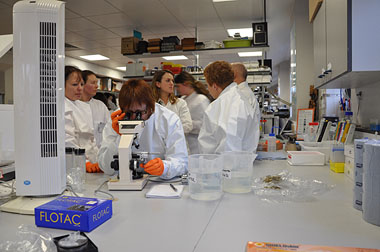 Last year's Moredun masterclass in action